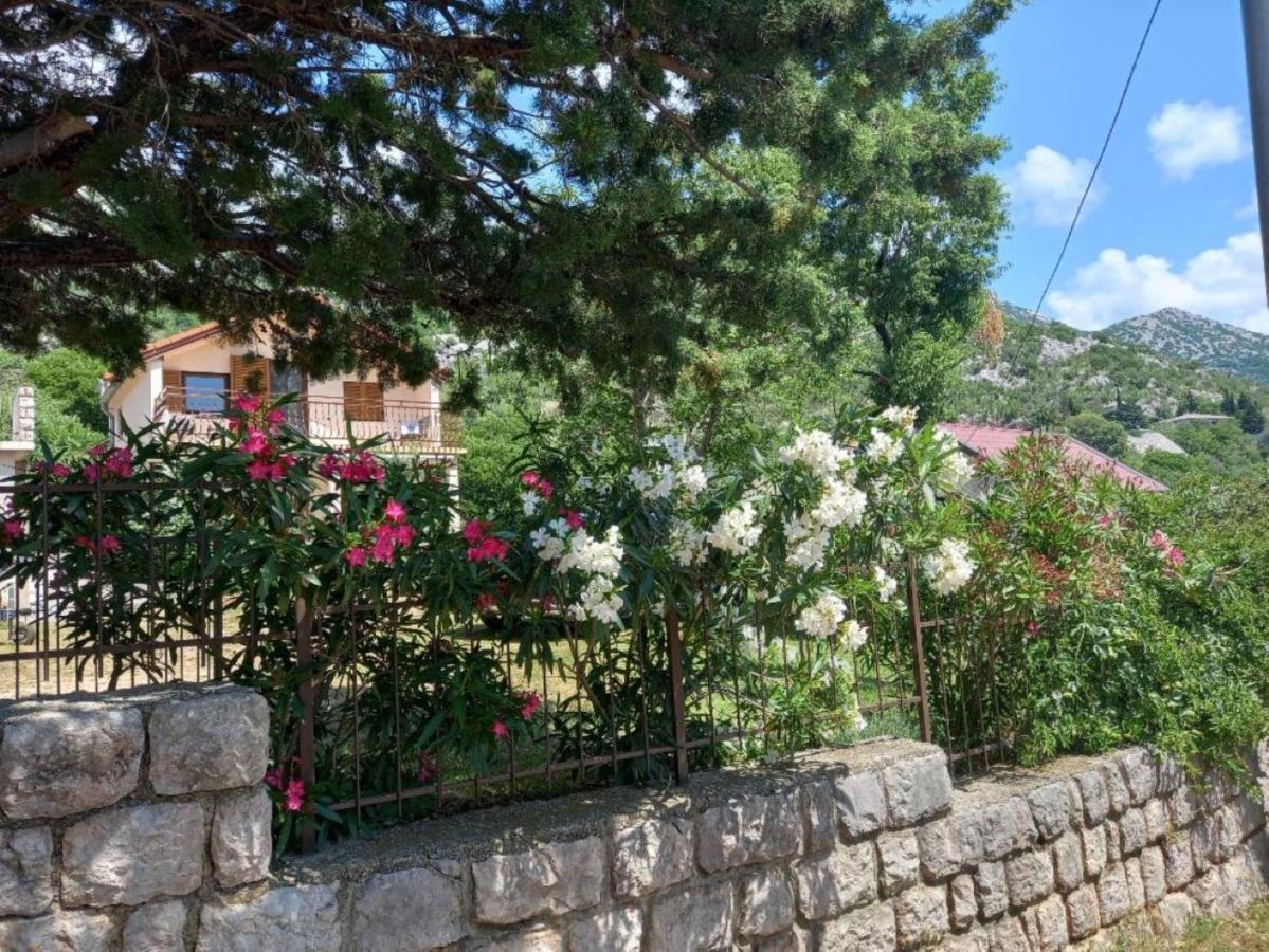 Apartmani Gracijela 카를로바크 외부 사진